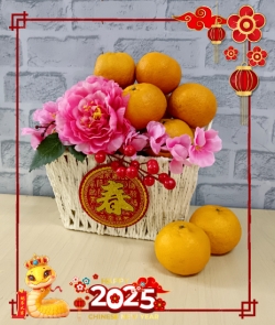 CNY Orange 502